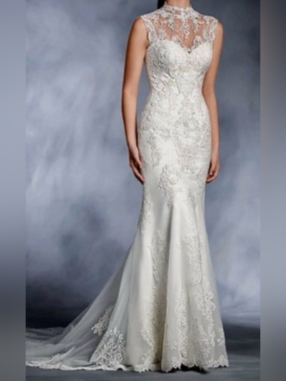 Disney Fairytale Wedding Dress- Alfred Angelo